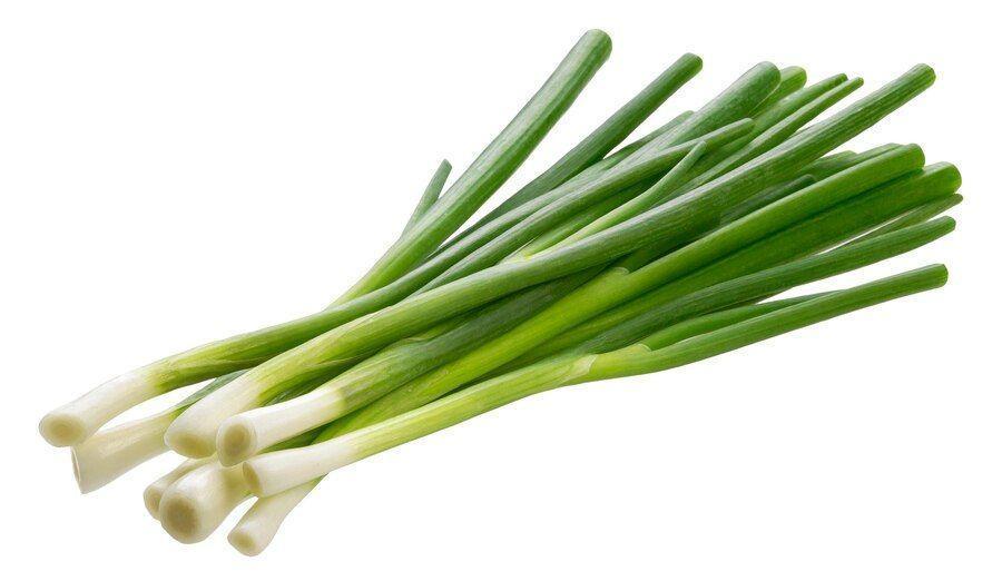 Cebollino Criollo Rollo (Green Onions)