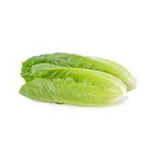 מארז זוג לבבות חסה - 10₪