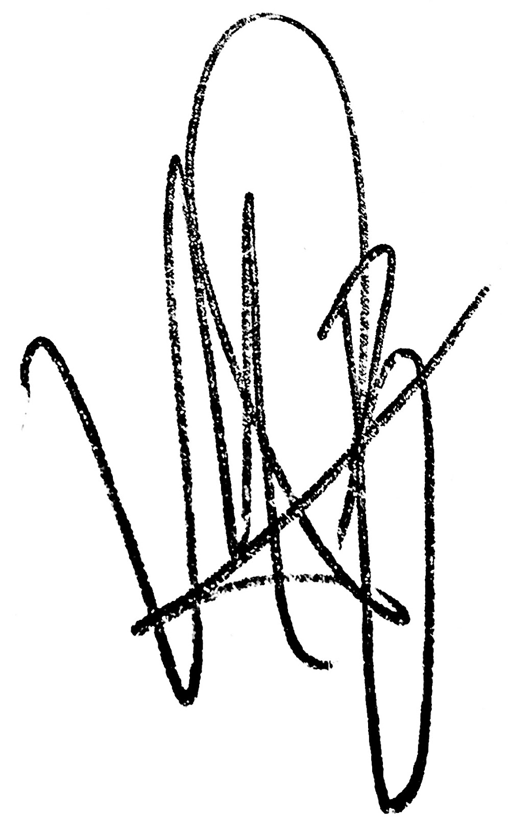 Handtekening Mark Bolk