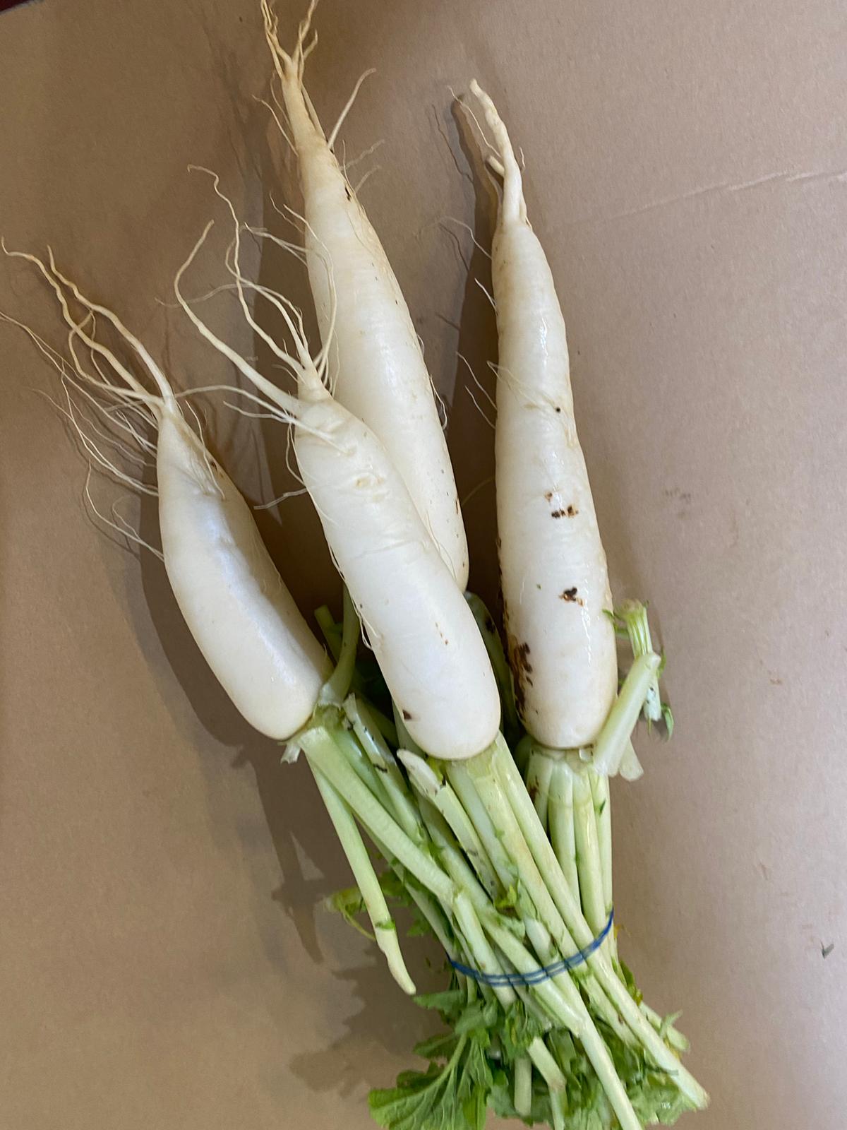  קג צנון דייקון - 10₪