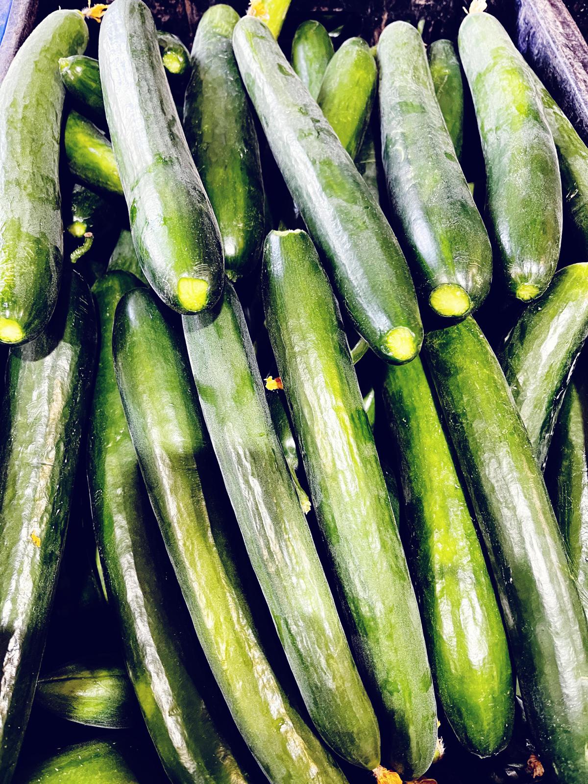  מבצע קילו מלפפון ארומטו-12₪ 