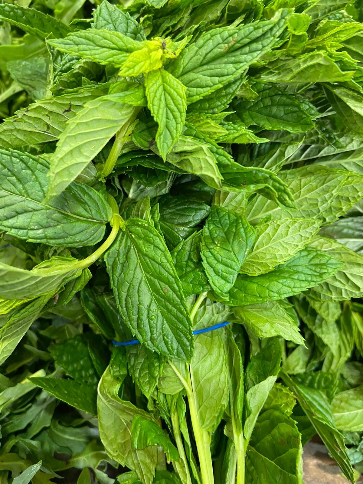 חצי קילו נענע -  10₪