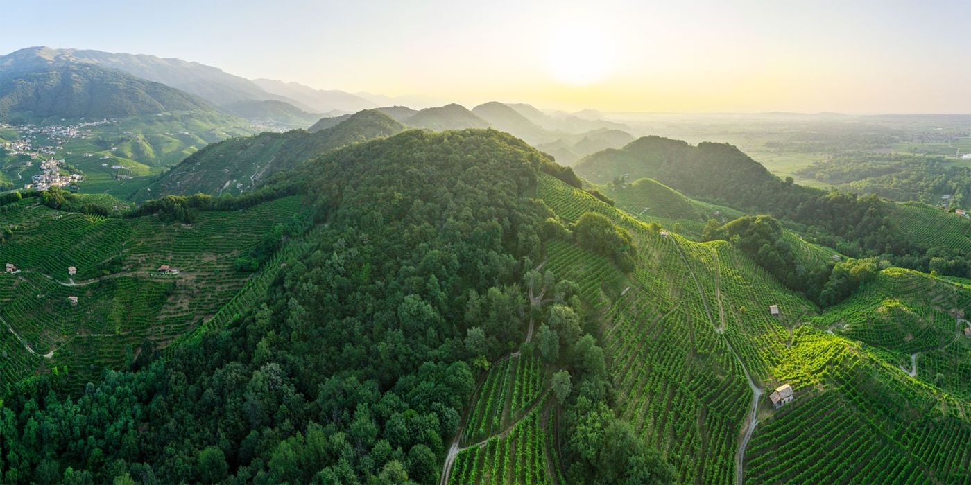 the prosecco landscape