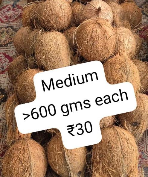 Coconut - Medium - 30rs per piece