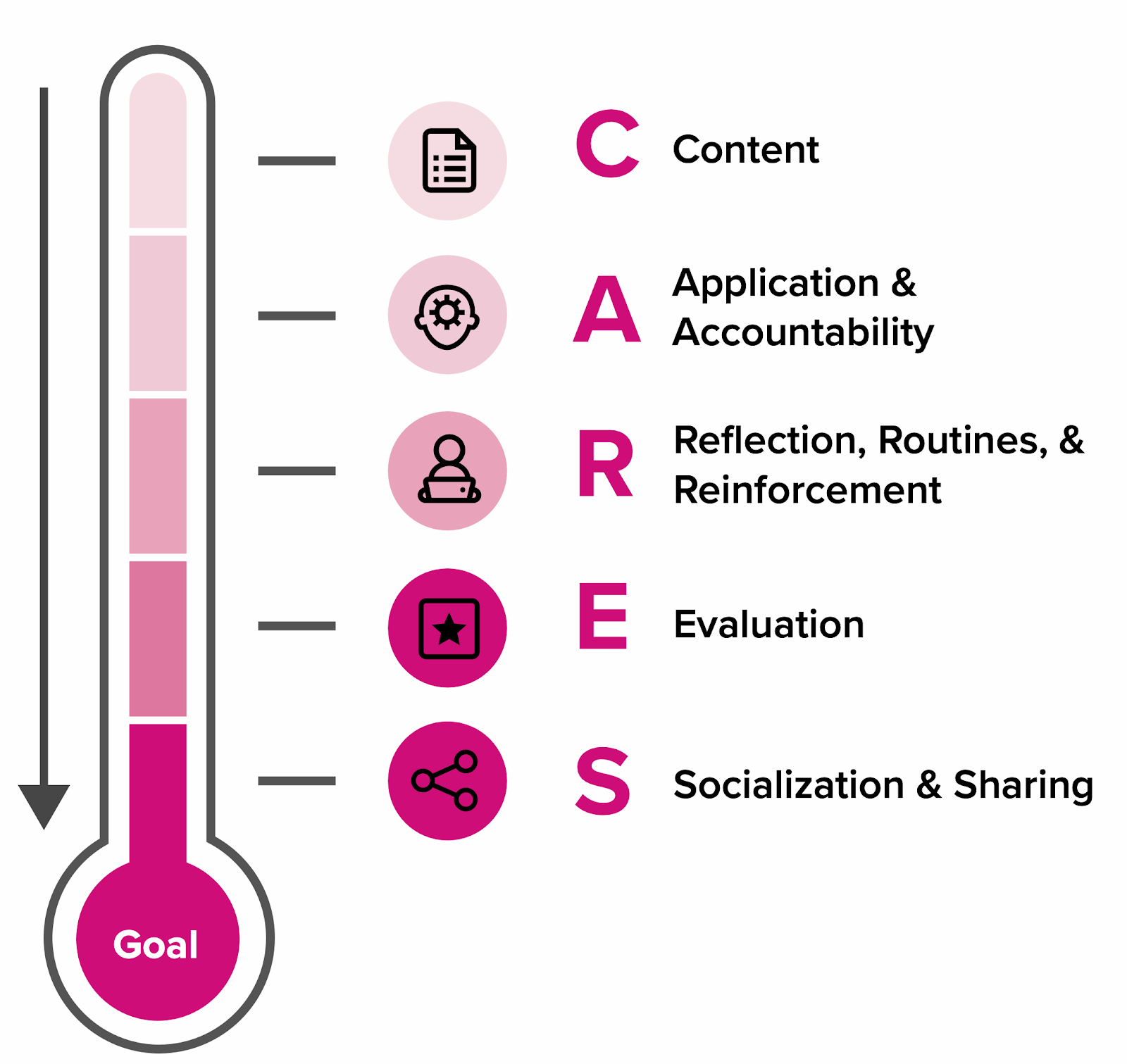 The CARES Learning Effectiveness Framework