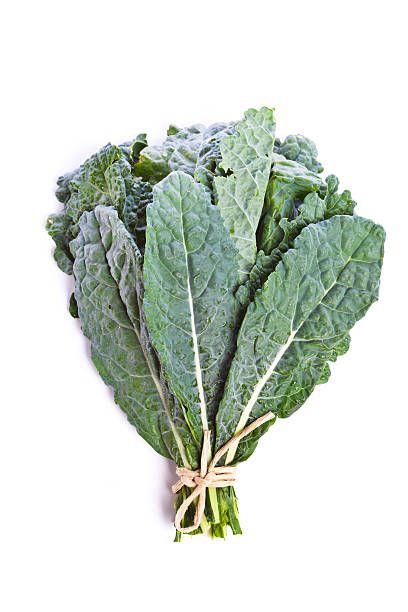 Kale Toscano Rollo (Dinosaur Kale)