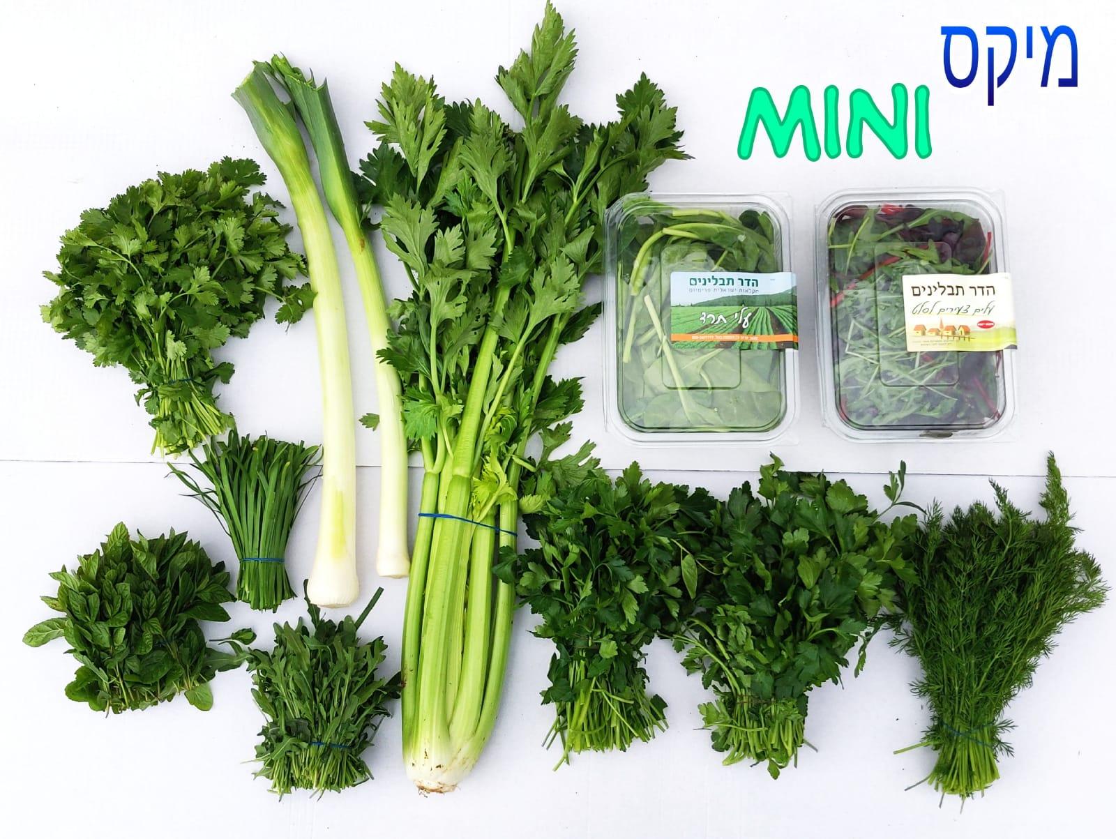 שקית ירק קטנה - ₪30