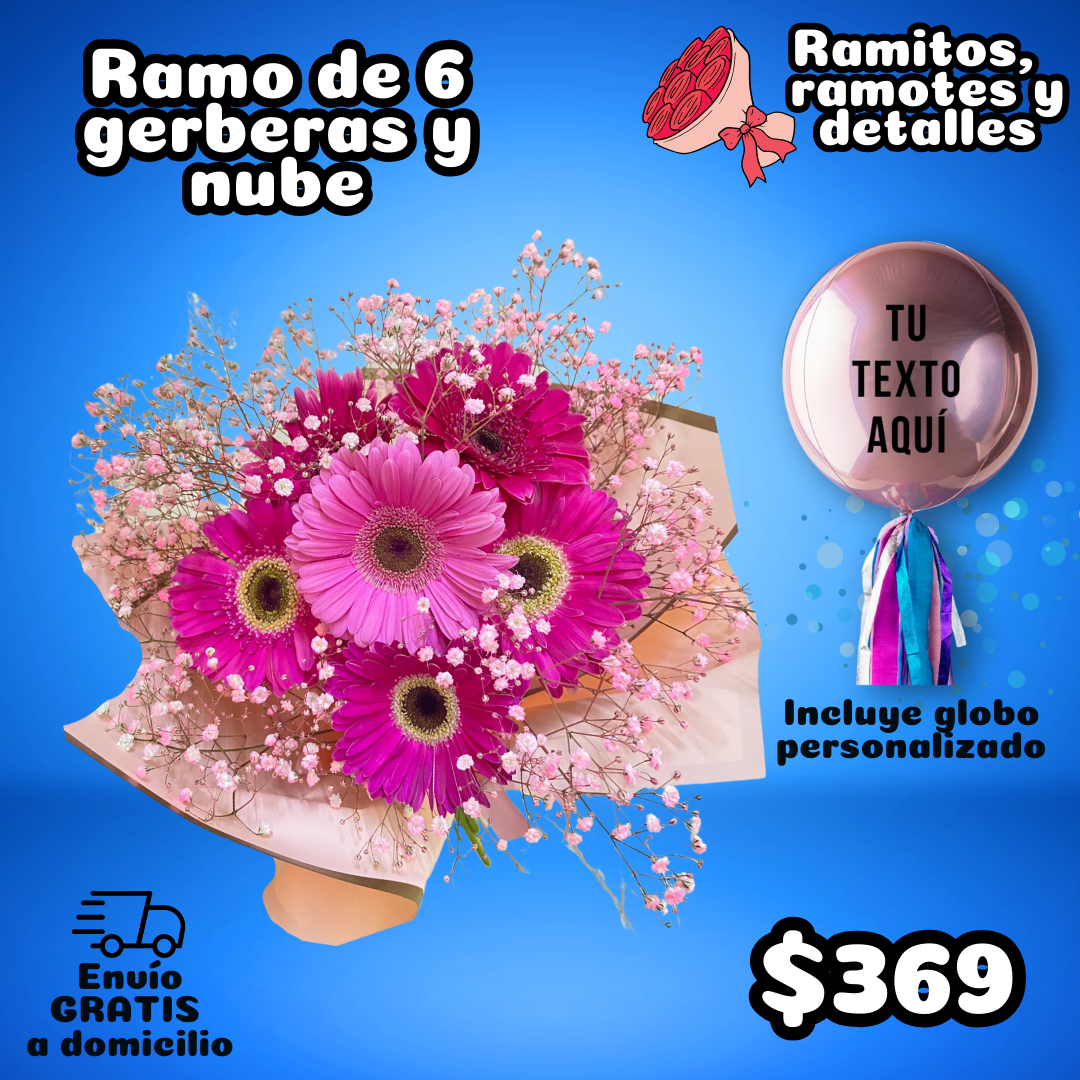 RAMO DE 6 GERBERAS Y NUBE