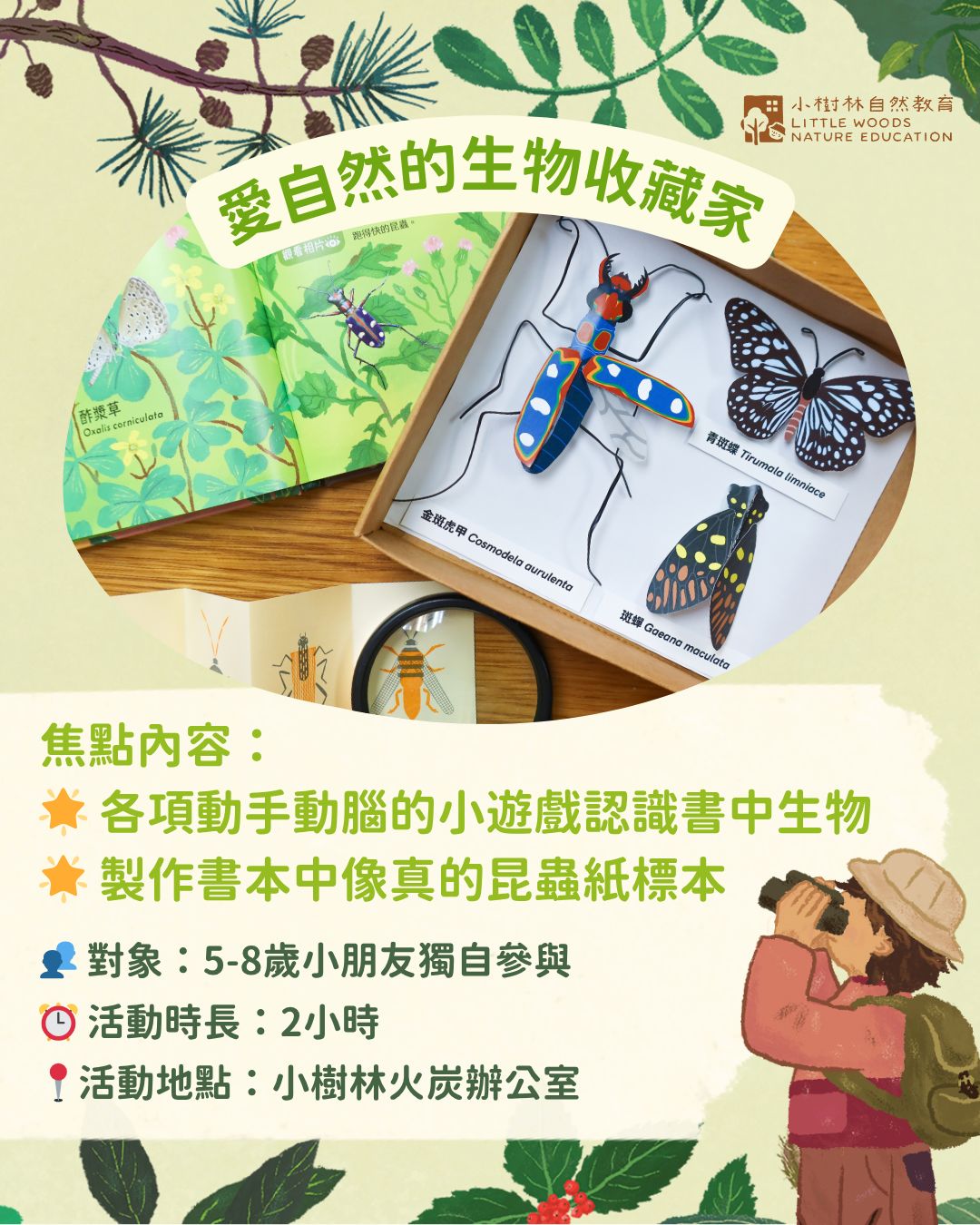 活動一【適合5-8歲】：《愛自然的昆蟲收藏家》紙標本手作坊
