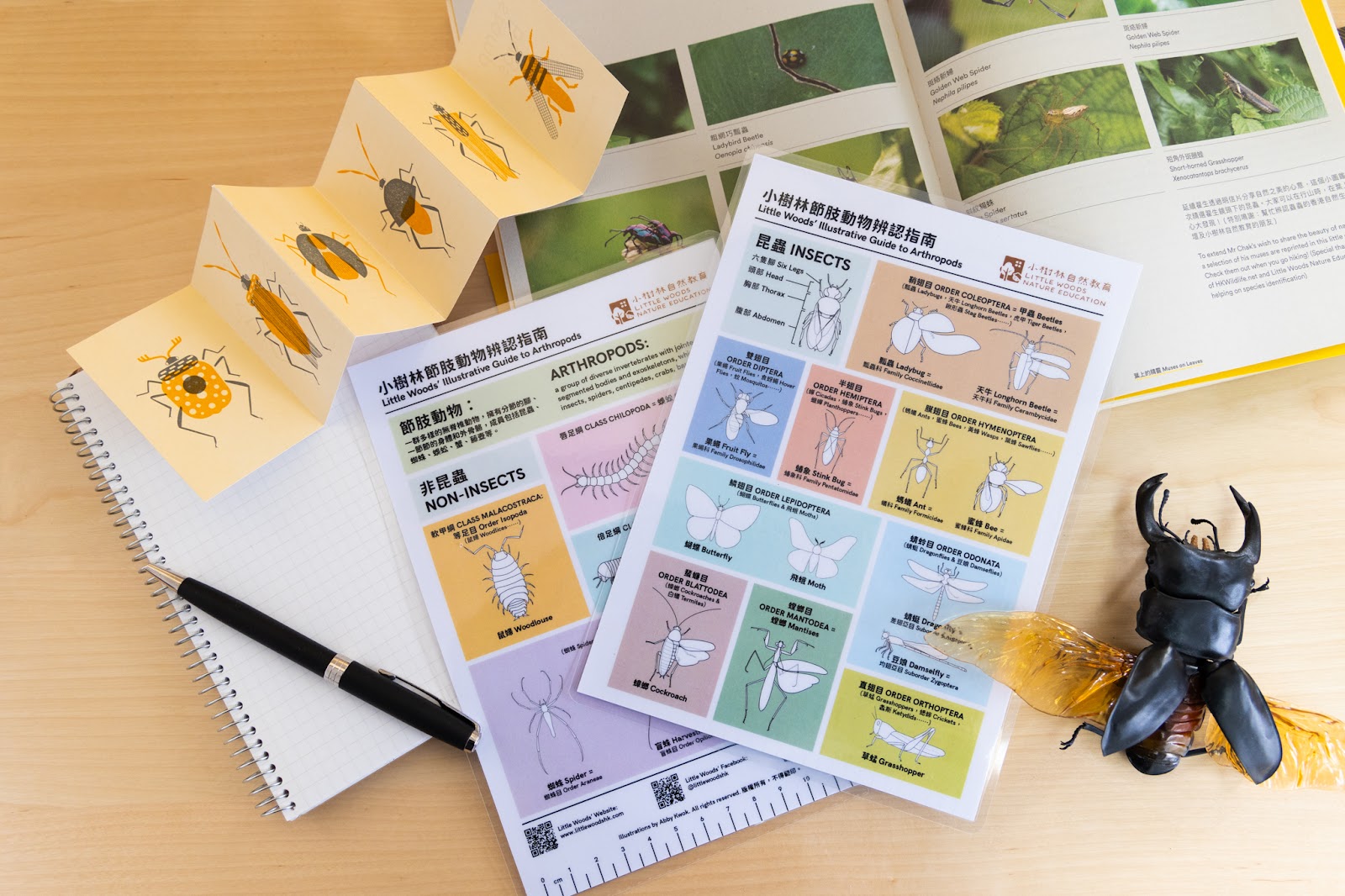  〰️ 小樹林網上商店 〰️ Little Woods' Online Store 〰️ 