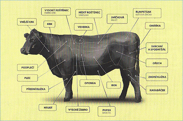 Ponuka bio hovädzieho mäsa z býkov plemena Angus 