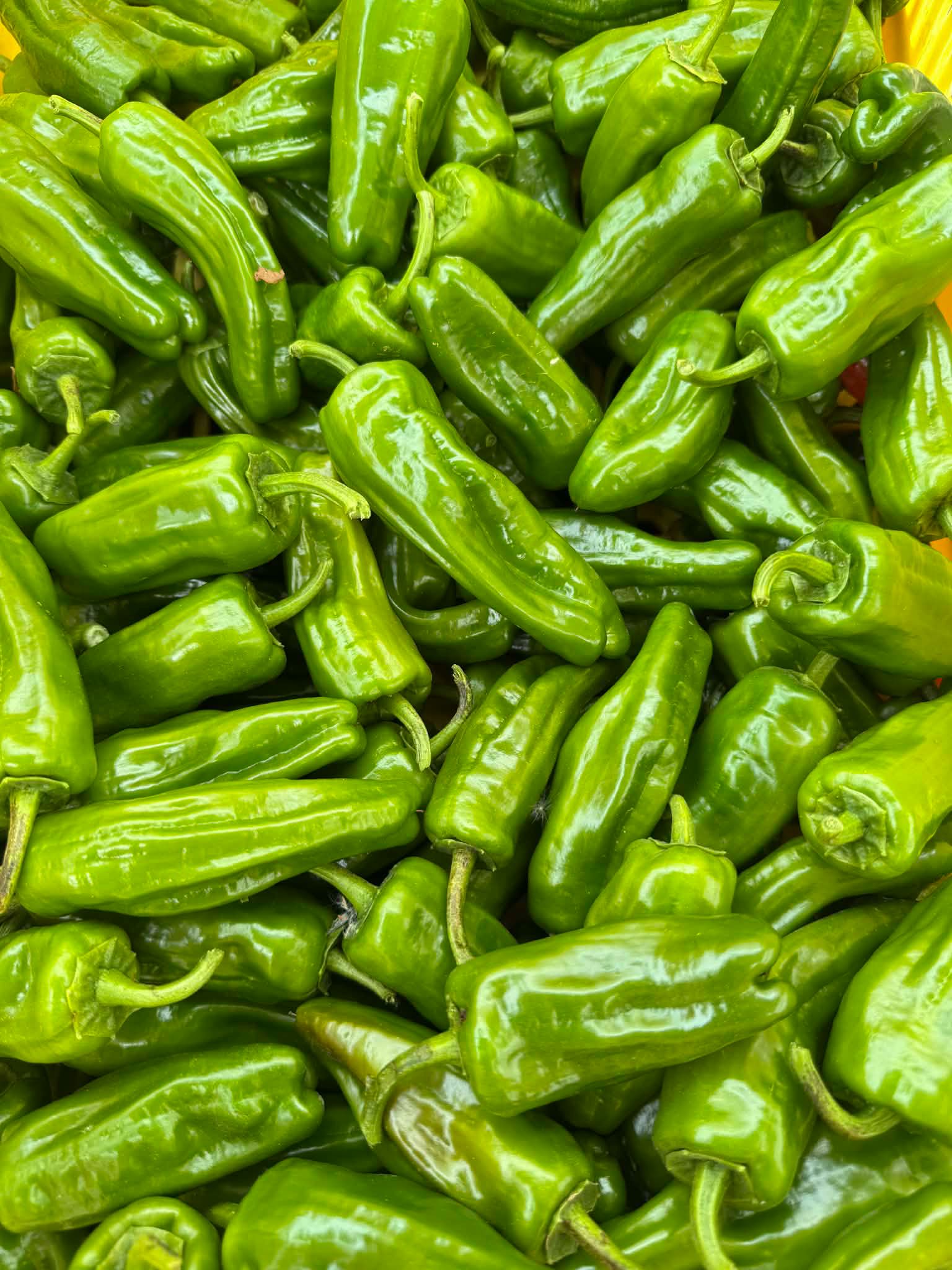 350גר פדרון - 14₪