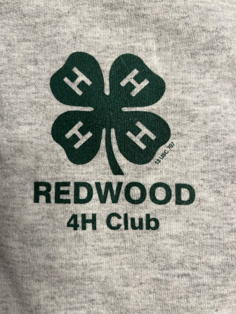 Youth Pullover Hoodies - Grey - $28 - Left Side Pocket