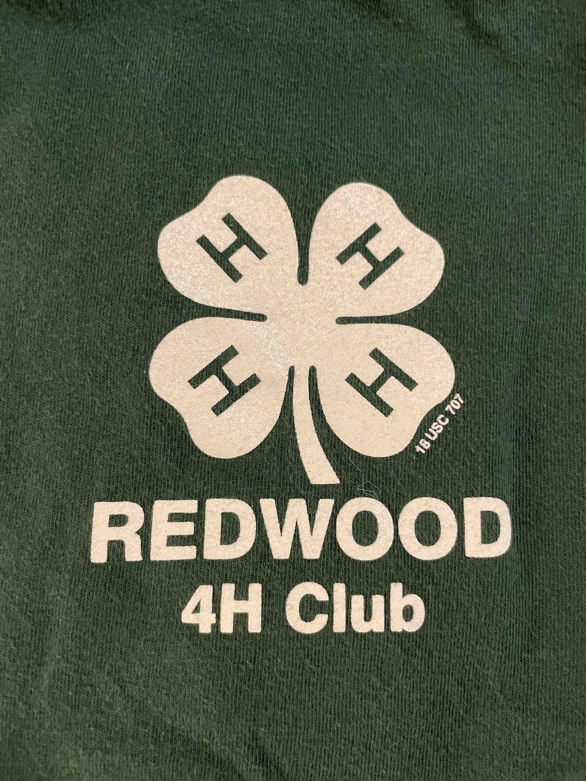 Youth T-Shirt - Forest Green - $13 - Left Side Pocket