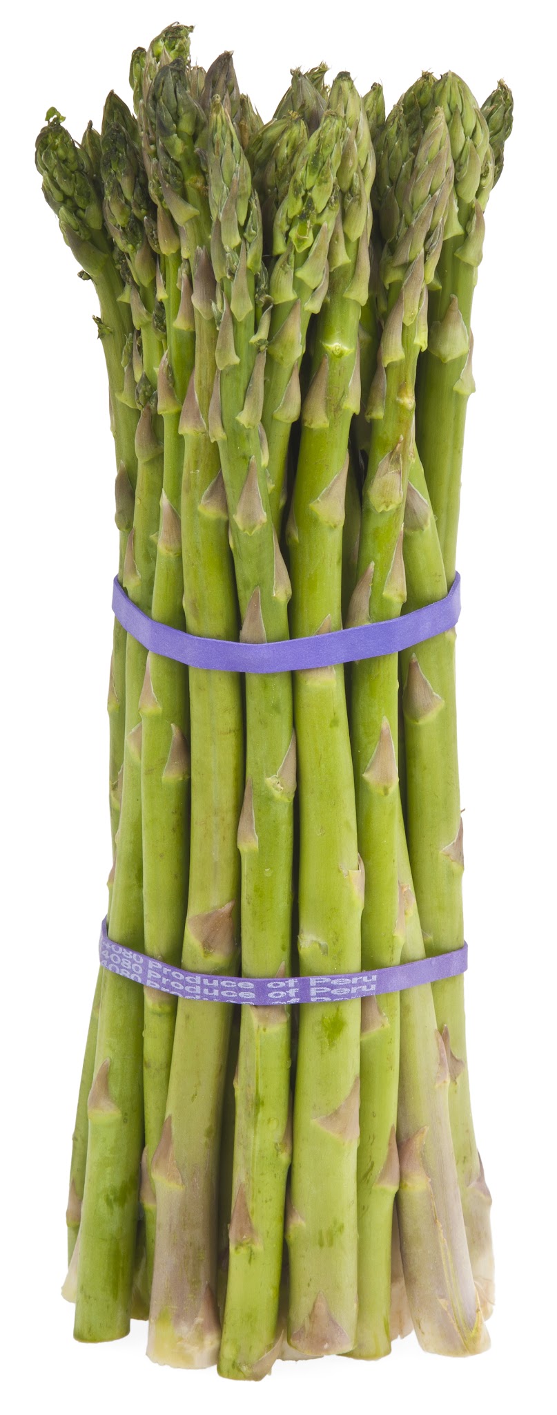 קג אספרגוס - 50₪