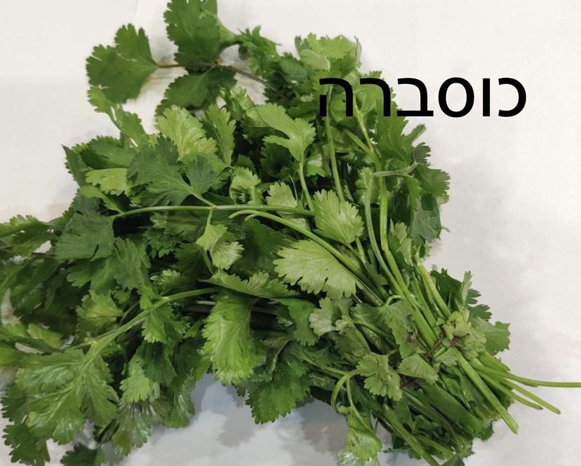 חצי קילו כוסברה - 12₪