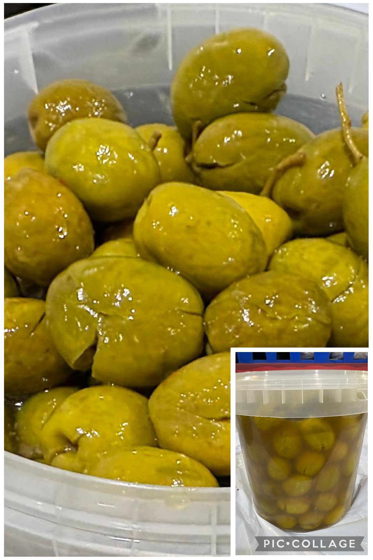קג זיתים מנזלינו כבושים-25₪
