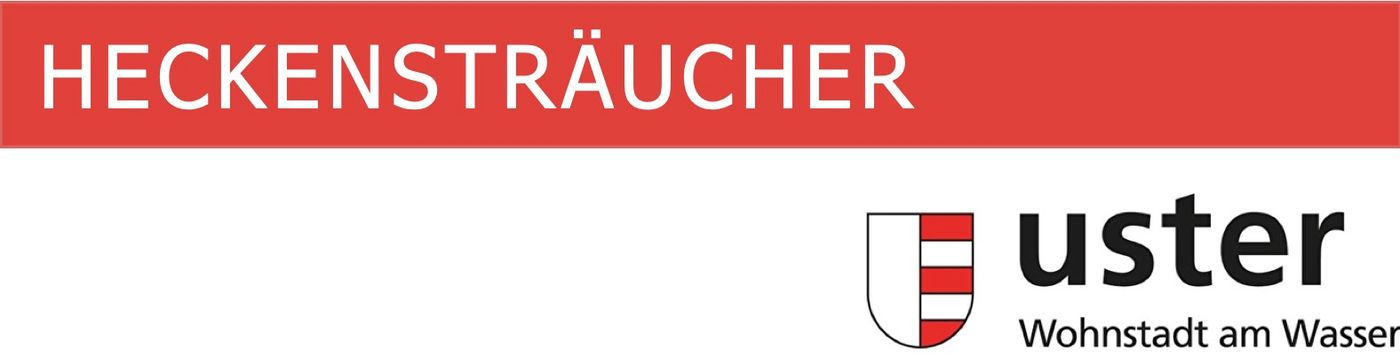  Uster: Pflanzaktion