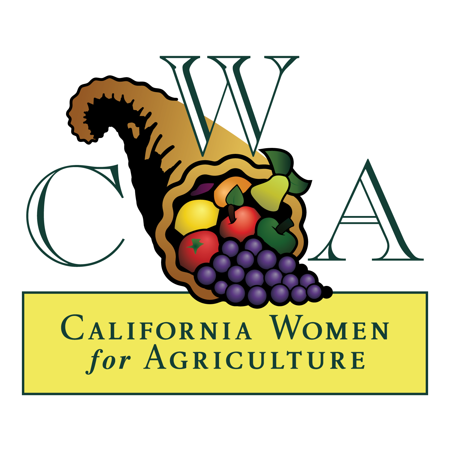 Merced CWA Linda Macedo Scholarship for a Child or Grandchild of a Member