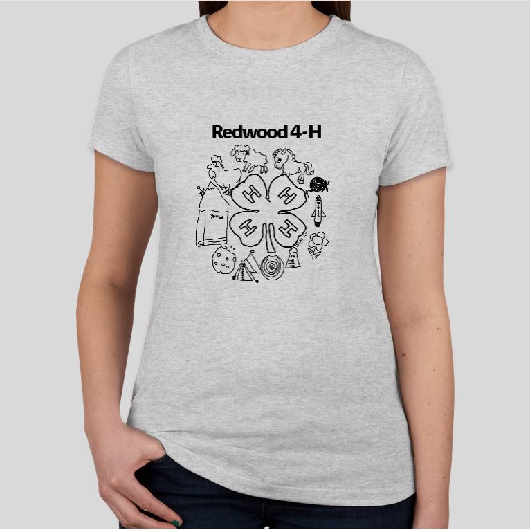 Ladies NEW LOGO Scoopneck T-Shirt - Grey - $16 -  Front Center 