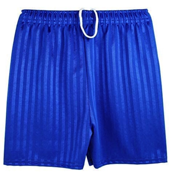 Royal Blue Sports Short 1