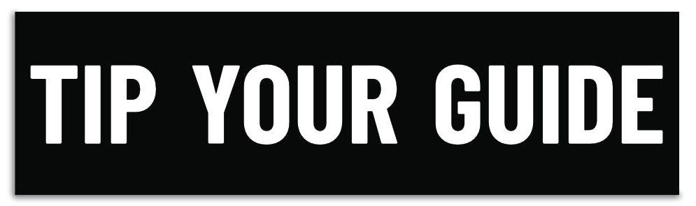 Do you need a Guide?