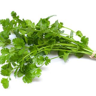 Coriander