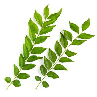 Curry Leaves