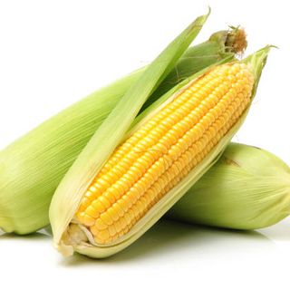 Sweet Corn