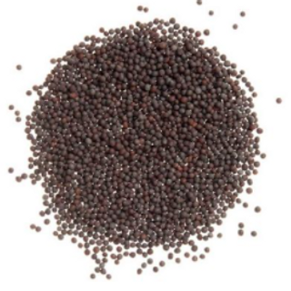 Biji Sawi / Mustard Seed 60gm