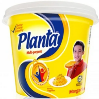 Planta 240gm