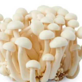 Cendawan Shimeji (Putih) / Shimeji Mushroom (White) 1paket