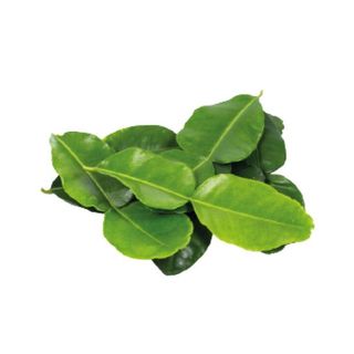 Daun Limau / Kaffir Lime Leaves 1paket