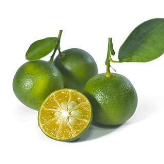 LImau Kasturi / Calamansi 180gm