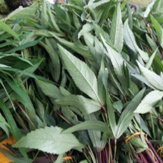 Daun Asam / Roselle Leaf 500gm