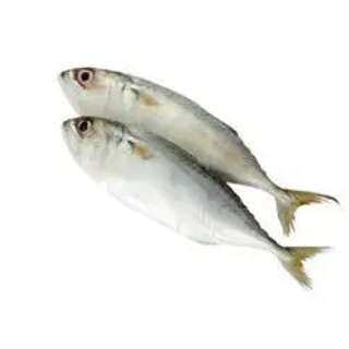 Ikan Pelaling 500gm