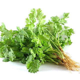 Daun Ketumbar / Coriander Leaves 100gm