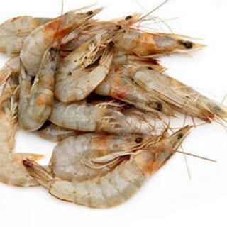 Udang 500gm