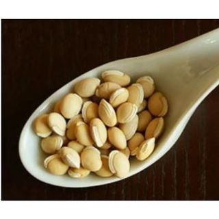 Kacang Mocai / Broad Beans 500gm