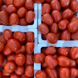 Tomato Roma KG 