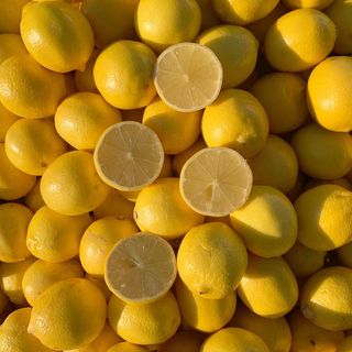 Lemons KG