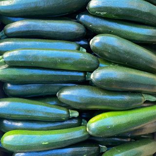 Black Zuchinni KG 