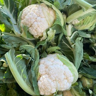 Cauliflower