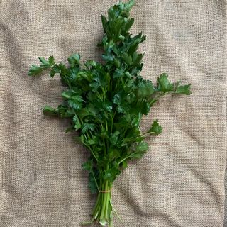 Parsley Bunch 