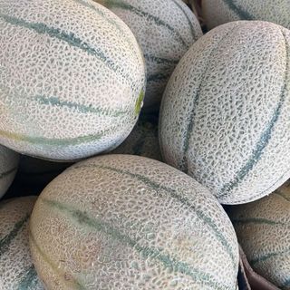 Rockmelon