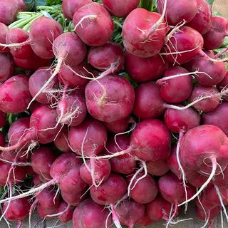 Red Radish Bunch