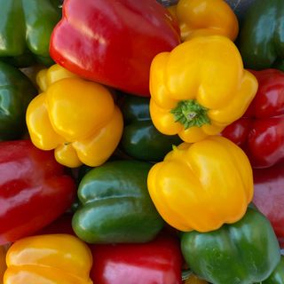 Capsicum Mixed KG