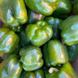 Capsicum Green KG