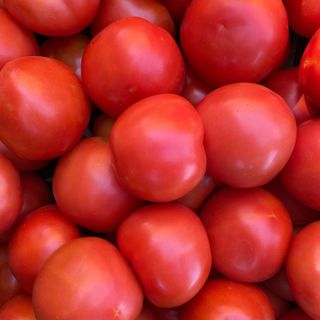 Tomato Round KG