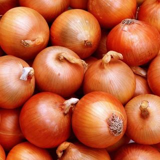 Onion Brown KG